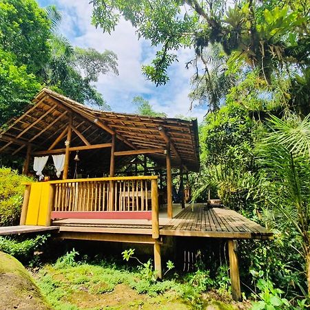 Eco Chales Caminho Das Aguas Barra Grande  Экстерьер фото