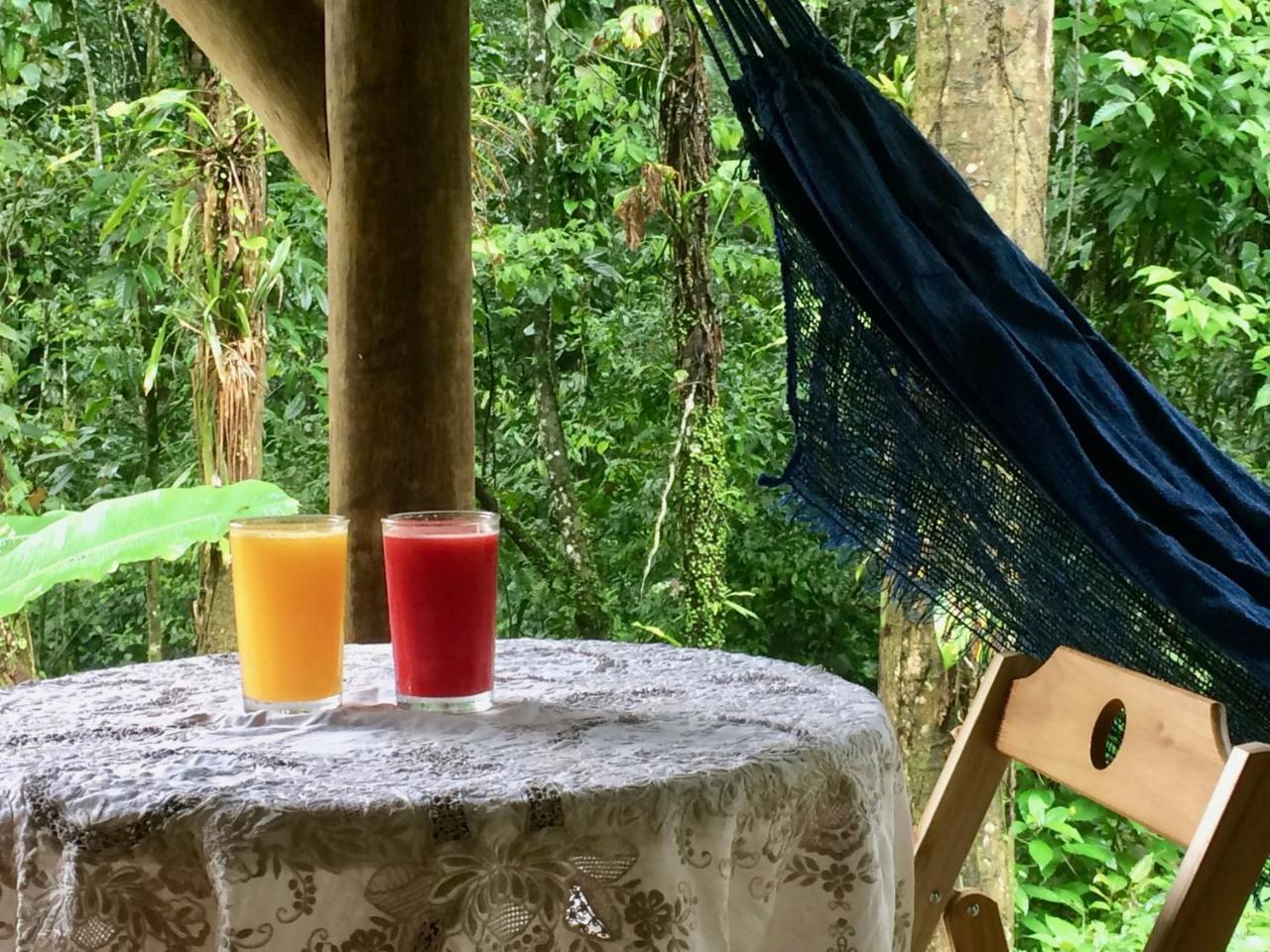 Eco Chales Caminho Das Aguas Barra Grande  Экстерьер фото