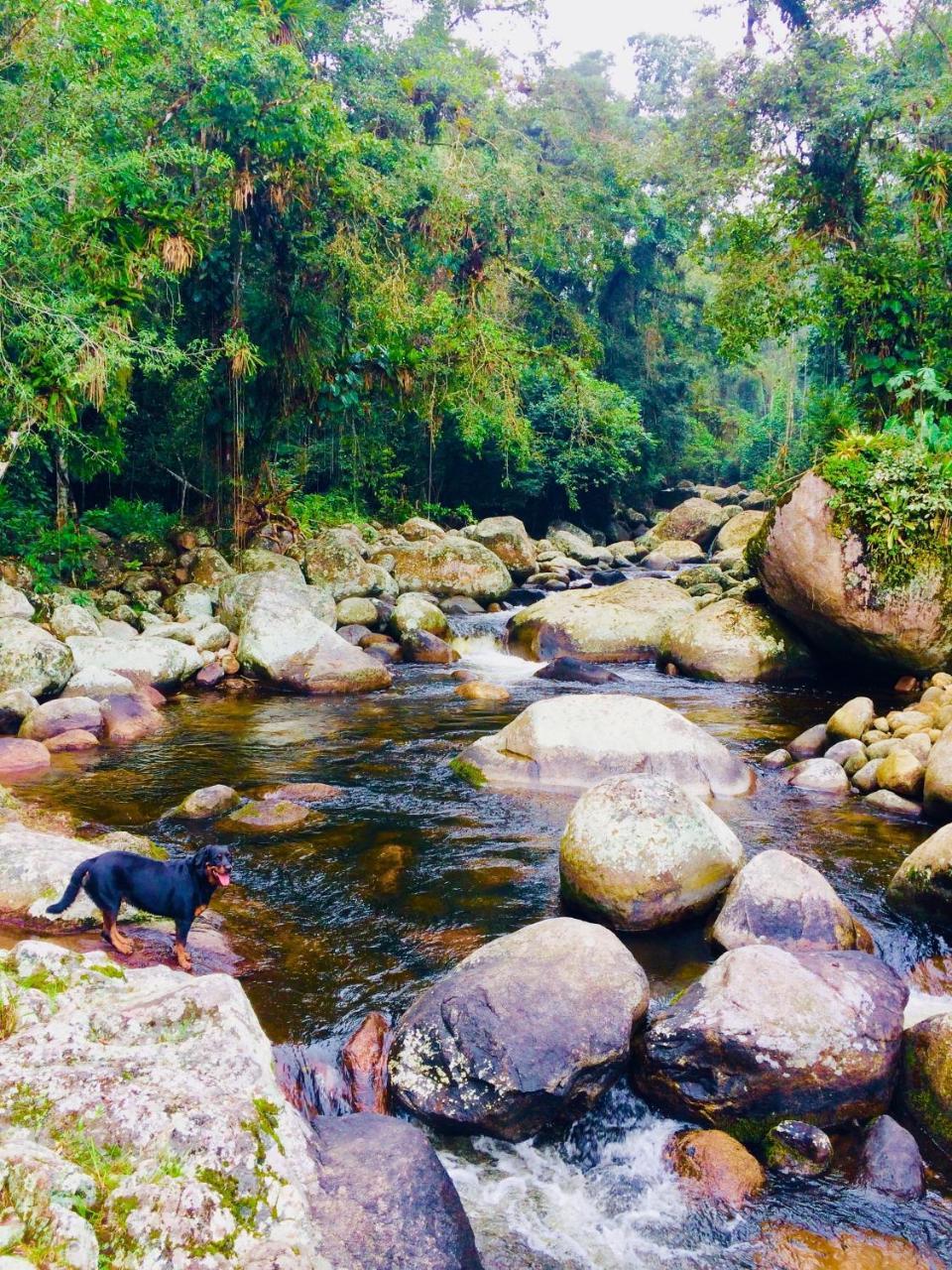 Eco Chales Caminho Das Aguas Barra Grande  Экстерьер фото